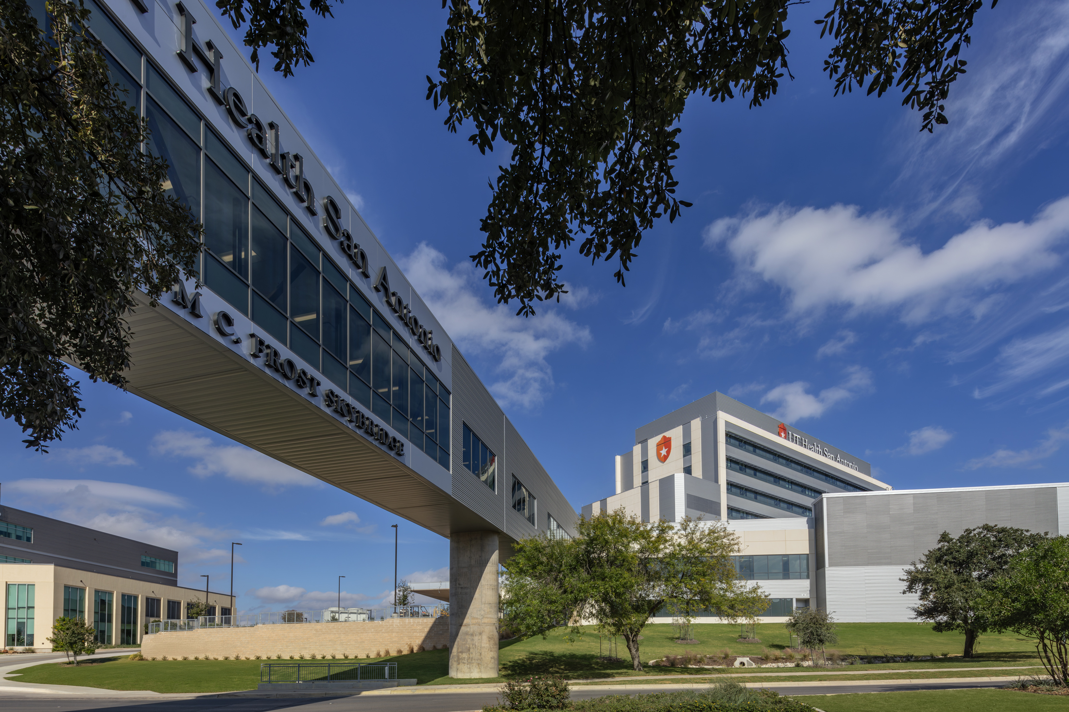 Hospital skybridge connecting to the Mays Cancer Center